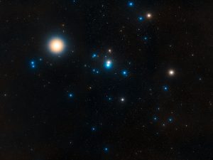 Top Stars Report