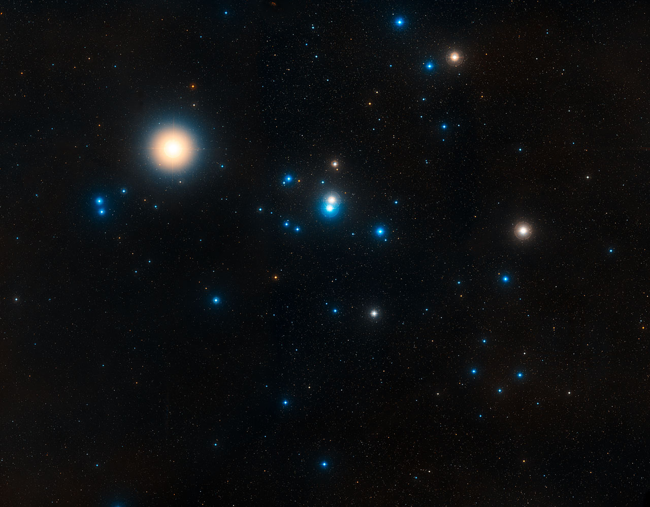 Top Stars Report